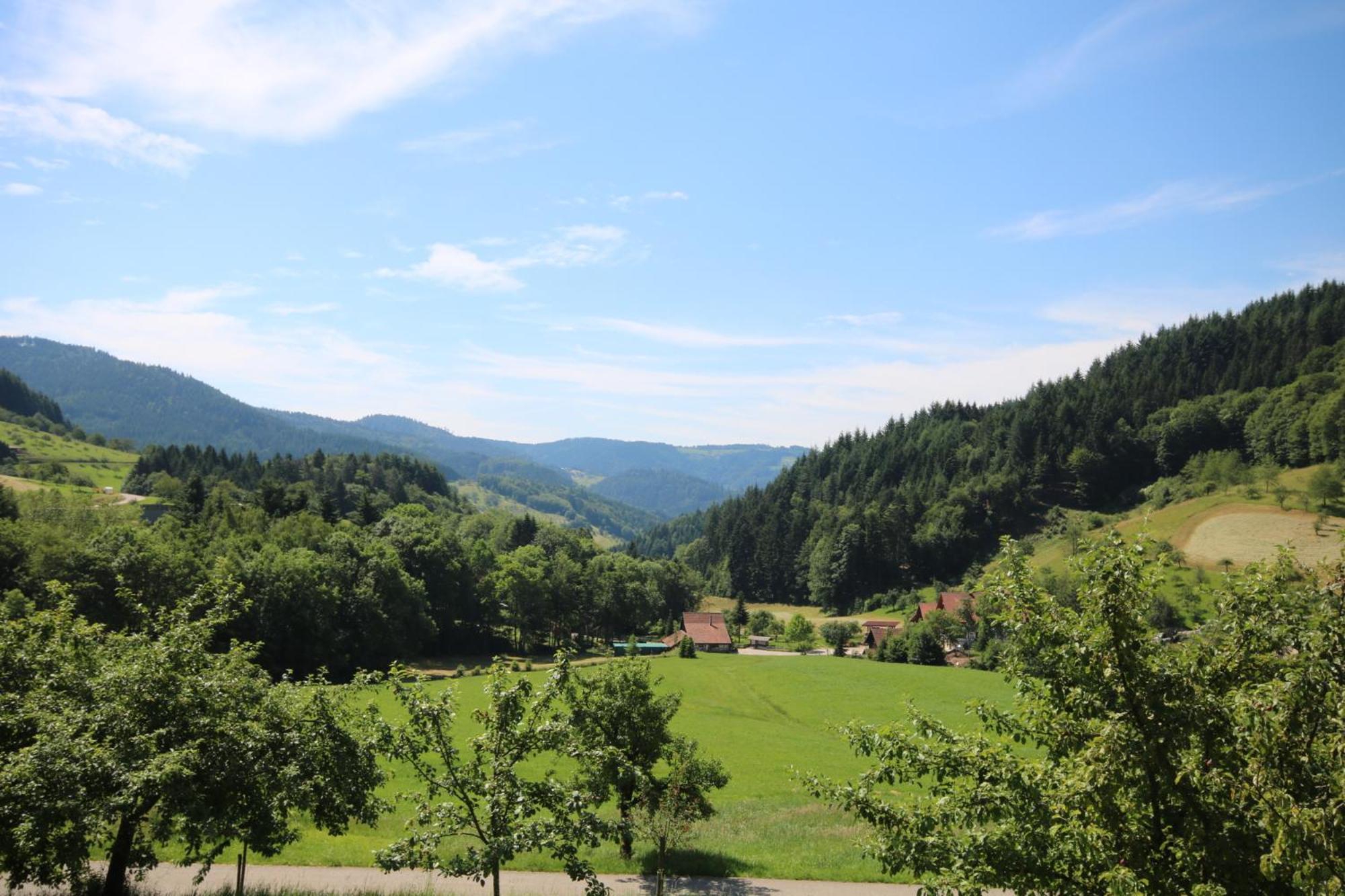 Kasimir Hof Villa Seebach Dış mekan fotoğraf